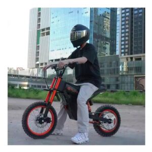 Kugoo WISH-01 EEC Factory Direct Supply Electric Bike